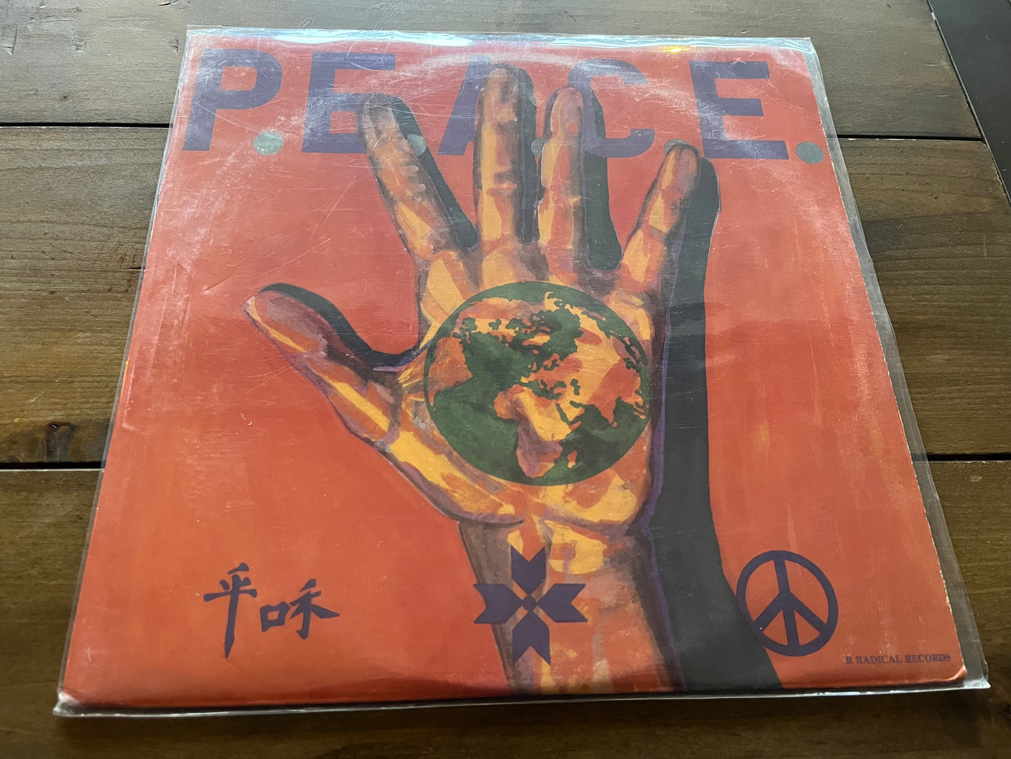 Various - International P.E.A.C.E. Benefit Compilation