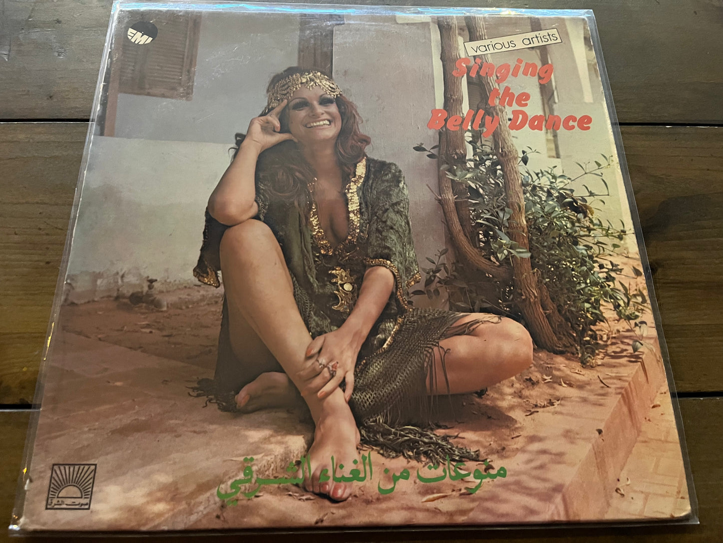 Various – منوعات من الغناء الشرقي = Singing The Belly Dance